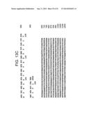 Polypeptides Involved In Immune Response diagram and image