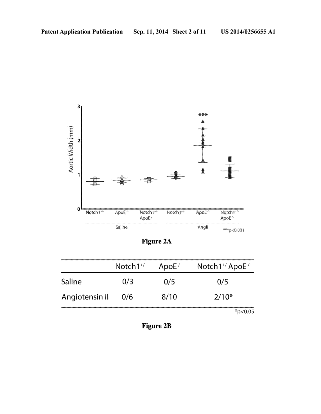 PRODUCTS AND METHODS FOR AORTIC ABDOMINAL ANEURYSM - diagram, schematic, and image 03