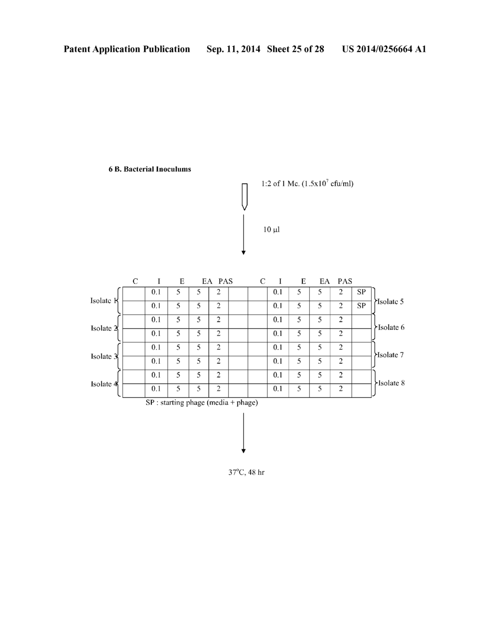 COMPOSITIONS AND METHODS FOR A MYCOBACTERIUM TUBERCULOSIS DRUG     SUSCEPTIBILITY TEST - diagram, schematic, and image 26