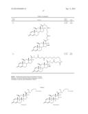 Steroid conjugates diagram and image