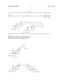 Steroid conjugates diagram and image