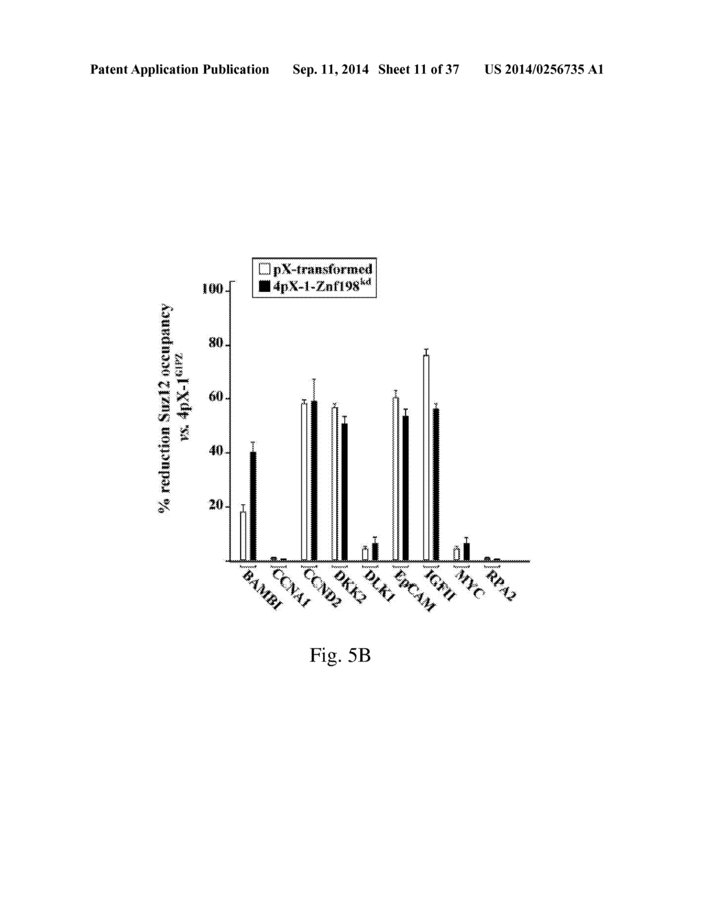 METHOD FOR ASSESSING A LIVER OF A PATIENT HAVING A CHRONIC HEPATITIS B     VIRUS INFECTION - diagram, schematic, and image 12