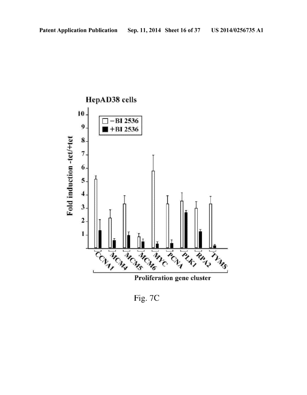 METHOD FOR ASSESSING A LIVER OF A PATIENT HAVING A CHRONIC HEPATITIS B     VIRUS INFECTION - diagram, schematic, and image 17