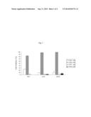 TREATMENT OF CANCER AND OTHER CONDITIONS USING A TRANSCRIPTION FACTOR     MODULATOR diagram and image