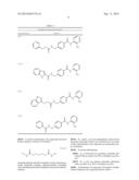 TREATMENT OF CANCER AND OTHER CONDITIONS USING A TRANSCRIPTION FACTOR     MODULATOR diagram and image