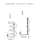 COMPOSITION AND METHODS FOR MODULATING CELL PROLIFERATION AND CELL DEATH diagram and image