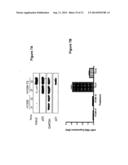 COMPOSITION AND METHODS FOR MODULATING CELL PROLIFERATION AND CELL DEATH diagram and image