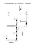 COMPOSITION AND METHODS FOR MODULATING CELL PROLIFERATION AND CELL DEATH diagram and image