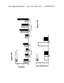 COMPOSITION AND METHODS FOR MODULATING CELL PROLIFERATION AND CELL DEATH diagram and image