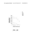 CO-ACTIVATION OF MTOR AND STAT3 PATHWAYS TO PROMOTE NEURONAL SURVIVAL AND     REGENERATION diagram and image