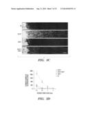 CO-ACTIVATION OF MTOR AND STAT3 PATHWAYS TO PROMOTE NEURONAL SURVIVAL AND     REGENERATION diagram and image