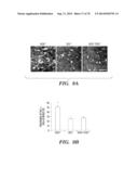 CO-ACTIVATION OF MTOR AND STAT3 PATHWAYS TO PROMOTE NEURONAL SURVIVAL AND     REGENERATION diagram and image