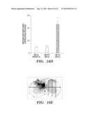 CO-ACTIVATION OF MTOR AND STAT3 PATHWAYS TO PROMOTE NEURONAL SURVIVAL AND     REGENERATION diagram and image