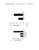 PERIPHERALLY DELIVERED GLUTAMIC ACID DECARBOXYLASE GENE THERAPY FOR SPINAL     CORD INJURY PAIN diagram and image