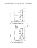 PERIPHERALLY DELIVERED GLUTAMIC ACID DECARBOXYLASE GENE THERAPY FOR SPINAL     CORD INJURY PAIN diagram and image