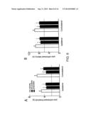 PERIPHERALLY DELIVERED GLUTAMIC ACID DECARBOXYLASE GENE THERAPY FOR SPINAL     CORD INJURY PAIN diagram and image