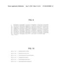 PERIPHERALLY DELIVERED GLUTAMIC ACID DECARBOXYLASE GENE THERAPY FOR SPINAL     CORD INJURY PAIN diagram and image