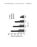 PERIPHERALLY DELIVERED GLUTAMIC ACID DECARBOXYLASE GENE THERAPY FOR SPINAL     CORD INJURY PAIN diagram and image