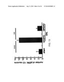 PERIPHERALLY DELIVERED GLUTAMIC ACID DECARBOXYLASE GENE THERAPY FOR SPINAL     CORD INJURY PAIN diagram and image