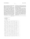 PERIPHERALLY DELIVERED GLUTAMIC ACID DECARBOXYLASE GENE THERAPY FOR SPINAL     CORD INJURY PAIN diagram and image