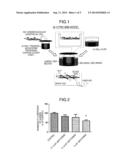 THERAPEUTIC AGENT FOR BLOOD-BRAIN BARRIER DISRUPTION SYNDROME diagram and image