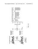 Stabilized Variant MAML Peptides and Uses Thereof diagram and image