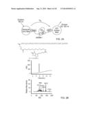 Stabilized Variant MAML Peptides and Uses Thereof diagram and image