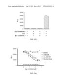 Stabilized Variant MAML Peptides and Uses Thereof diagram and image