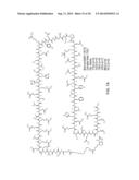 Stabilized Variant MAML Peptides and Uses Thereof diagram and image