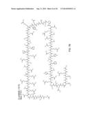 Stabilized Variant MAML Peptides and Uses Thereof diagram and image