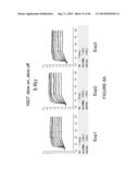 METHOD FOR IMMOBILIZING MEMBRANE PROTEINS ON SURFACES diagram and image