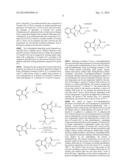 PROCESSES FOR THE PREPARATION OF     4-AMINO-2-(2,6-DIOXOPIPERIDIN-3-YL)ISOINDOLINE-1,3-DIONE COMPOUNDS diagram and image