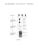 DEVICE FOR DETECTING ON-BODY IMPACTS diagram and image