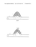 Implantable Device With Adhesive Properties diagram and image