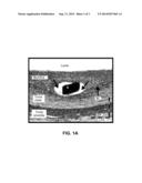 STENTS HAVING CONTROLLED ELUTION diagram and image