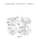 Neuromorphic Spatiotemporal Where-What Machines diagram and image