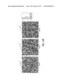 Neuromorphic Spatiotemporal Where-What Machines diagram and image