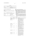 Identity-Media Measurement Model (IMMM) diagram and image