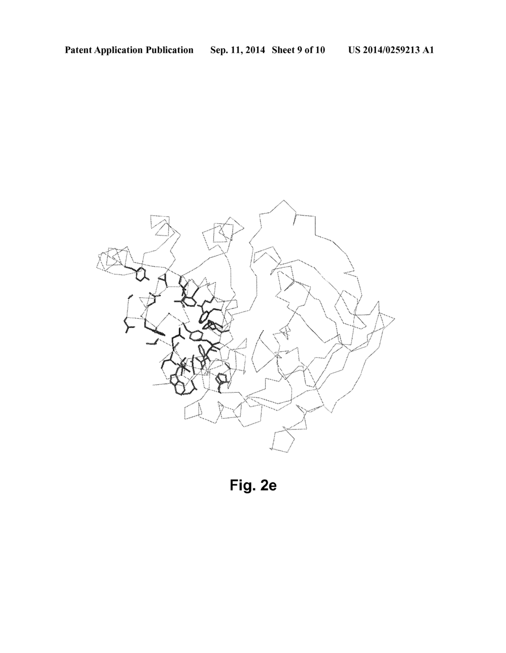 HPPD VARIANTS AND METHODS OF USE - diagram, schematic, and image 10