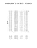 POLYNUCLEOTIDES AND POLYPEPTIDES INVOLVED IN POST-TRANSCRIPTIONAL GENE     SILENCING diagram and image