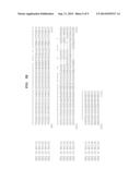 POLYNUCLEOTIDES AND POLYPEPTIDES INVOLVED IN POST-TRANSCRIPTIONAL GENE     SILENCING diagram and image