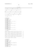 POLYNUCLEOTIDES AND POLYPEPTIDES INVOLVED IN POST-TRANSCRIPTIONAL GENE     SILENCING diagram and image