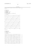 POLYNUCLEOTIDES AND POLYPEPTIDES INVOLVED IN POST-TRANSCRIPTIONAL GENE     SILENCING diagram and image