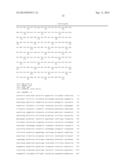 POLYNUCLEOTIDES AND POLYPEPTIDES INVOLVED IN POST-TRANSCRIPTIONAL GENE     SILENCING diagram and image