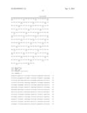 POLYNUCLEOTIDES AND POLYPEPTIDES INVOLVED IN POST-TRANSCRIPTIONAL GENE     SILENCING diagram and image