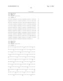 POLYNUCLEOTIDES AND POLYPEPTIDES INVOLVED IN POST-TRANSCRIPTIONAL GENE     SILENCING diagram and image