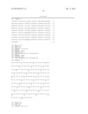 POLYNUCLEOTIDES AND POLYPEPTIDES INVOLVED IN POST-TRANSCRIPTIONAL GENE     SILENCING diagram and image