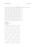 POLYNUCLEOTIDES AND POLYPEPTIDES INVOLVED IN POST-TRANSCRIPTIONAL GENE     SILENCING diagram and image