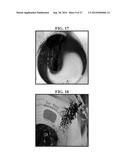 PLANT-BASED COMPOSITIONS AND USES THEREOF diagram and image