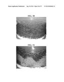 PLANT-BASED COMPOSITIONS AND USES THEREOF diagram and image